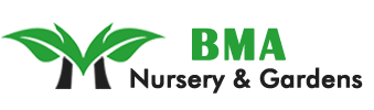 BMA Nursery and Gardens
