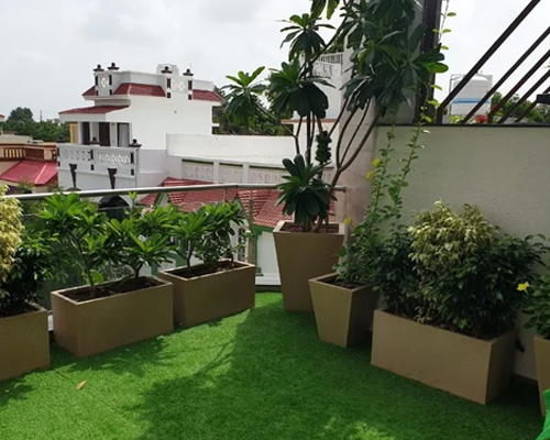 Terrace Garden Setup in Chennai